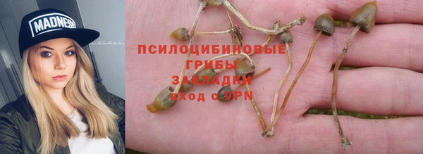 гидропоника Вязьма