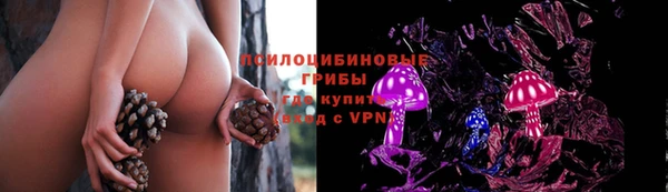 гидропоника Медвежьегорск