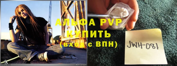 PSILOCYBIN Михайлов